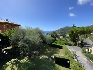 an overhead view of a garden with bushes and trees at Casa alta lucio in Bonassola