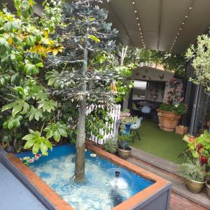 a tree in a pool in a garden at Oddfellows Chester Hotel & Apartments in Chester