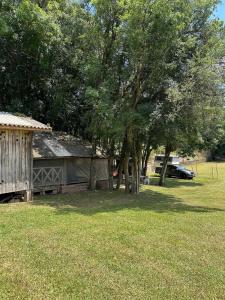 a yard with a house and some trees and grass at Rancho Cantinella in Garibaldi