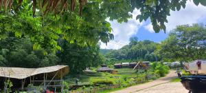 a farm with a field and buildings and trees at Daelorpu Mud house บ้านดิน แดลอปู in Ban Yang