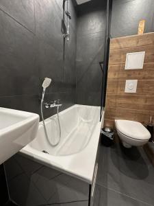 a bathroom with a shower and a sink and a toilet at Apartmenthaus Zeuthen 2 in Zeuthen