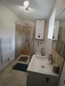 a bathroom with a shower and a sink and a toilet at Le gîte de scevolles in Verrue +10 photos