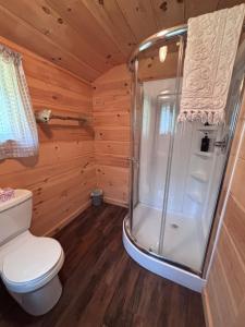 a bathroom with a shower and a toilet at Wishart Point Lodge in Neguac