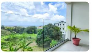 a balcony with a potted plant and a large window at J C Apartment in Kingstown