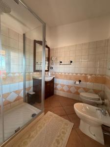 ein Badezimmer mit Dusche, Toilette und Waschbecken in der Unterkunft B&B Amistade in Seùlo + 32 Fotos
