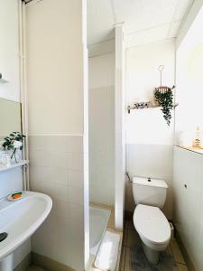 a bathroom with a toilet and a sink at Bastide en Margeride in Châteauneuf-de-Randon +12 photos