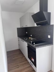 a kitchen with a sink and a counter top at Bayman Apartments in Ellhofen