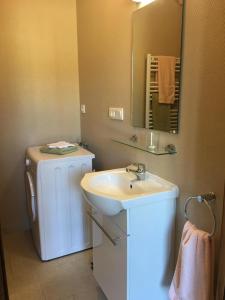 a bathroom with a sink and a mirror at Le petit scevolles in Verrue +3 photos