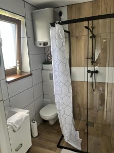 a bathroom with a shower and a toilet at Domek u Gołąbków Bieszczady in Lesko +32 photos