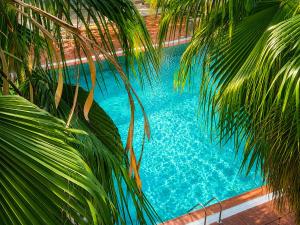 an overhead view of a swimming pool with palm trees at Sea View Marjana Apartment in Skataj