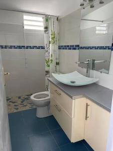 a bathroom with a sink and a toilet at Gites vallée des caraibes in Bouillante