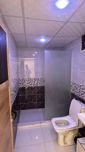a bathroom with a toilet and a shower at Desert Hello Camp in Wadi Rum +92 photos