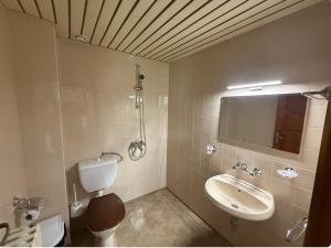 a bathroom with a toilet and a sink at Guest House Скиора in Chepelare
