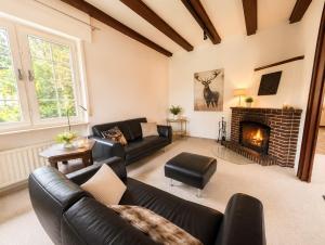 a living room with a couch and a fireplace at HarzHaus Hahnenklee in Hahnenklee-Bockswiese