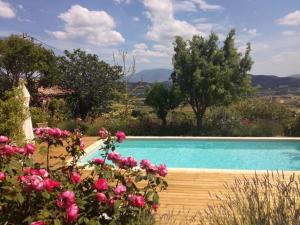 a garden with a swimming pool and pink roses at La Roseraie des Côtes - Piscine in Vinsobres