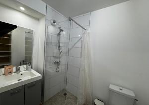 a bathroom with a shower and a toilet and a sink at Studio Quartier Amiens in Amiens +2 photos
