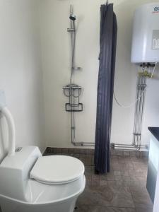 ein Badezimmer mit weißer Toilette und schwarzem Duschvorhang in der Unterkunft Låbbyn15 in Årjäng