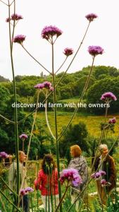 a group of people standing in a field with flowers at Myhomereservation Flores Daqui Lodge Colares Sintra in Colares +32 photos