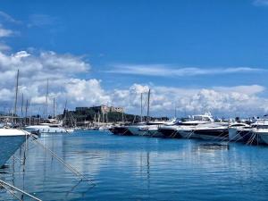 a bunch of boats are docked in a harbor at Escapade Antiboise avec parking inclus in Antibes