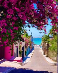 a street with pink flowers on a building at Hotel Miramar - La Paz in La Paz
