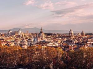 a view of a city with domes and buildings at Ibis Roma Fiera in Rome