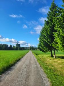a dirt road in the middle of a field with a tree at Casa Peace in Mysen