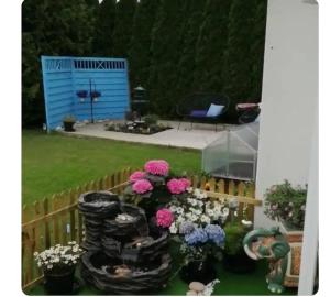 a bunch of flowers in a yard with a fence at Casa Peace in Mysen