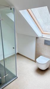 a bathroom with a glass shower and a toilet at Atelier überm Hof in Alzenau
