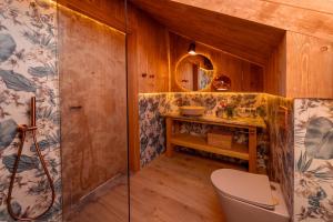 a bathroom with a shower and a sink and a toilet at CHATY U HARREGO NAD STAWEM SPA sauna, balia, rowery, klimatyzacja, in Kudowa-Zdrój +121 photos