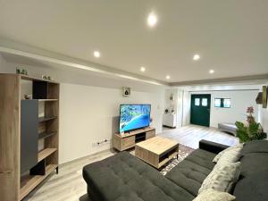 a living room with a couch and a flat screen tv at Beau T3 à 15 min de Lyon in Pierre-Bénite