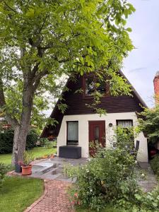 a house with a thatched roof with a tree at First Tee am Rosarium in Sangerhausen