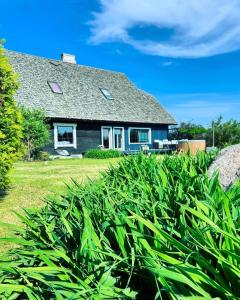 a house with a hedge in front of it at Tiiupesa Guest House in Hellamaa +27 photos