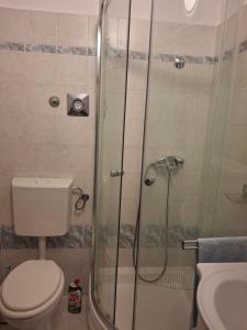 a bathroom with a shower and a toilet and a sink at Tivoli Apartment in Ičići +15 photos