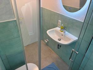 a bathroom with a sink and a shower at Hauckwald Apartment 1 in Alzenau