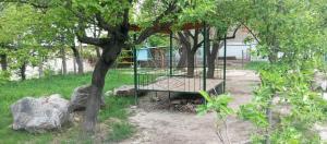 a bird cage in a tree in a yard at Памирский дом in Khorog +18 photos