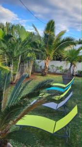 a row of lounge chairs on a lawn with palm trees at Villa Créole Alamanda in Petite Île