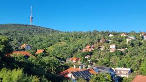 a small village on a hill with solar panels at Hillside Olive Apartmanház közös WELLNESsell in Pécs