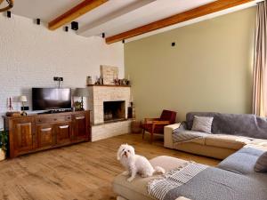 a living room with a dog sitting on a couch at Guesthouse near Tbilisi in Saguramo