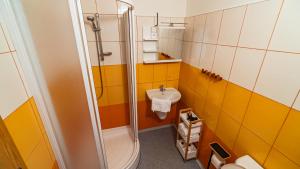 a bathroom with a shower and a sink at Penzion a Restaurace Adria II in Dobrohoř +18 photos