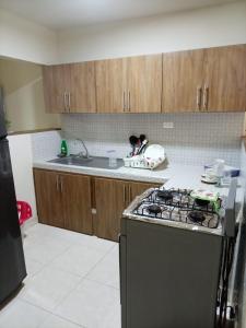 a kitchen with a stove and a counter top at Ginebramagico in Ginebra
