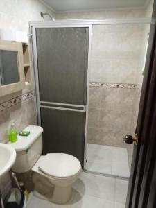 a bathroom with a shower and a toilet and a sink at Ginebramagico in Ginebra +8 photos