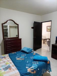 a bedroom with a bed with a dresser and a mirror at Ginebramagico in Ginebra