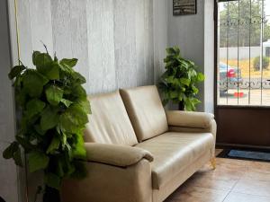 a couch in a living room with two potted plants at Yangi Andijan Hotel in Andijan