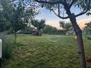 a field with a tree and a ball in the grass at Mountain Panorama Garden BBQ ECO in Shumen