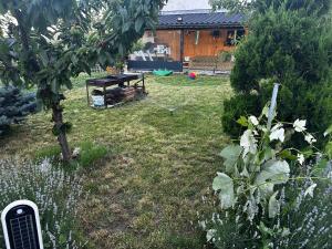 a backyard with a picnic table in the grass at Mountain Panorama Garden BBQ ECO in Shumen