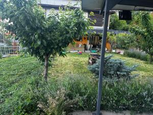 a garden with a tree and a picnic table at Mountain Panorama Garden BBQ ECO in Shumen