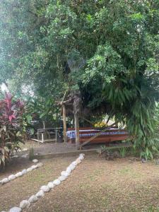 a park with a bench under a tree at Cabinas Marcelina in Puerto Jiménez