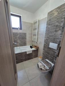ein Badezimmer mit Badewanne und Toilette in der Unterkunft Smart Ghimbav in Ghimbav + 1 Foto