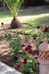 a flower garden with red roses and a fire hydrant at Villa privée, 5 suites, Piscine & Jardin XXL in Marrakesh