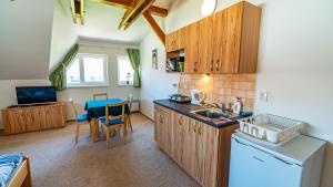 a kitchen with a sink and a counter top at Penzion Adria III in Dobrohoř